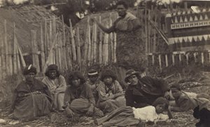 ニュージーランド、ホークスベイのパファキロPaにある、1865年頃（アルブメンプリント）