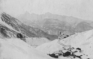 Meadows pres Davos（モノクロ写真
