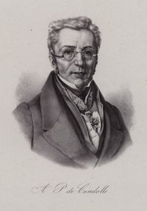 スイスの植物学者、オーギュスタン・ピュラマス・ド・カンドール（銅版画 作： Swiss School