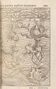 Cosmographiae Universalisの1005ページ、セバスチャンムンスター、バーゼル、1572年 作： Swiss School