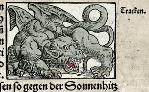 ドラゴンの表現：Johann Stumpffの「Den Edlen Strengen Besten Fromen」のエングレーヴィング。1550 作： Swiss School