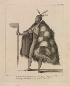 適切な服装をし、彼らのやり方に従って完全に武装したニュージーランドの戦士