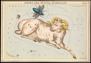 アリエスとムスカ、1825年頃（カード、紙、ティッシュ） 作： Sydney Hall