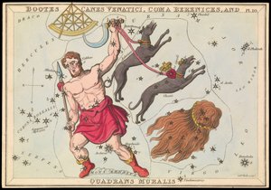 Bootes Canes Venatici, Coma Berenices and Quadrans Muralis, c.1825 (カード、紙、ティッシュ) 作： Sydney Hall