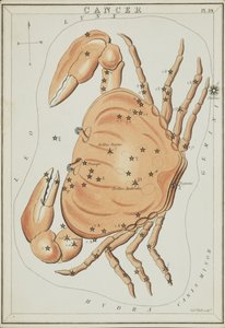 がん、「ウラニアの鏡」のイラスト
