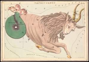 カプリコルヌス、1825年頃（カード、紙、ティッシュ） 作： Sydney Hall