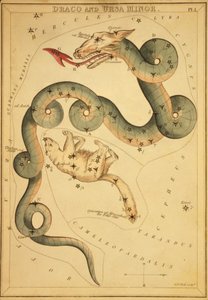 ドラコとこぐま座、「ウラニアの鏡」のイラスト 作： Sydney Hall
