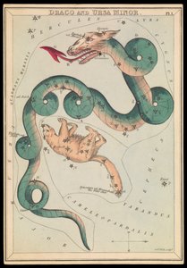 ドラコと小熊座 1825年頃 （カード、紙、ティッシュ） 作： Sydney Hall