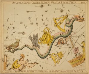 Noctua、Raven、Crater、Urania Sextans、Hydra、Felis、Lupus、Centaurus、Antlia Pneumatica、Argo Navis、Pyxis Nautica、「Urania