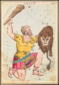 オリオン座、1825年頃（カード、紙、ティッシュ）