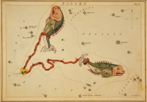うお座、「ウラニアの鏡」のイラスト 作： Sydney Hall