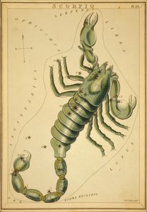蠍座、「ウラニアの鏡」のイラスト 作： Sydney Hall