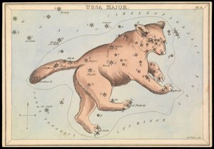 おおぐま座、1825年頃（カード、紙、ティッシュ） 作： Sydney Hall