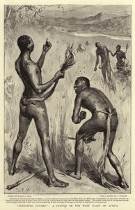 借りられたプルーム、アフリカの西海岸の習慣 作： Sydney Prior Hall