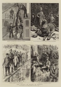 スウェーデンのプリンスオブウェールズ 作： Sydney Prior Hall