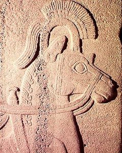 馬の頭のディテール 作： Syrian Syrian