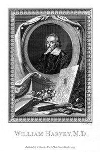ウィリアムハーベイ、医師、1777年。 作： T. Cook