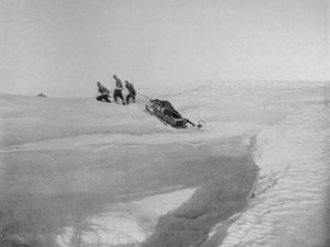スクリューパックを回避するためにケープロバーツに上陸 作： T. Griffith Taylor