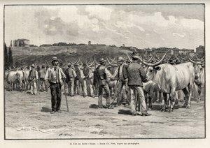 シエナ（イタリア）の牛肉市。ユージン・マンツ（1845-1902）の "A travers la Tuscane "という物語をテイラーが描いたもので、Edouard Charton（1807-1891）が監督したLe tour du Monde 1892に収録されています（Hachette, Paris）。 作： T Taylor