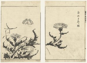 ぢsてls えん vぃんでr がほん しんこく まきあげ (せりえs ちtぇ) 作： Tachibana Morikuni (attributed to)