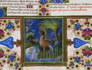 風景の中に怪物のような動物が描かれたページの足元のボーダーフリーズ、第2巻、f207、v、ボルソ・デステの聖書、Taddeo Crivelli（1425-1479）とアシスタント、ラテン語の写本 作： Taddeo Crivelli