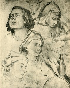 頭の研究、c1320-1366、1943 作： Taddeo Gaddi
