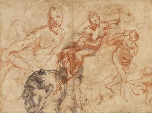 円形皿のデザイン（レクト）；図案研究（裏面） 作： Taddeo Zuccaro