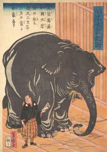 大型輸入象の眺め、1863 文京 3、4 月。 作： Taguchi Yoshimori