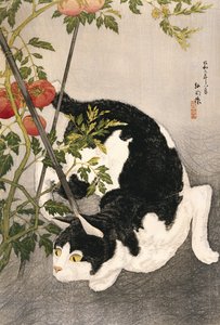賭けられたトマト植物の周りをうろついている猫、1931（木版画）