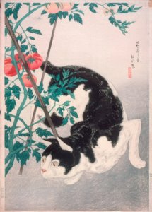 トマトの苗を持つ猫