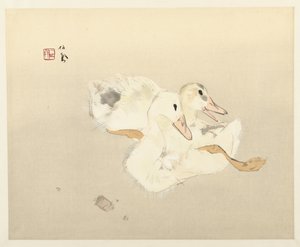 若いアヒル 作： Takeuchi Seiho