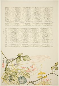 秋の草