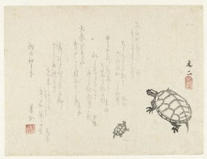 2匹のカメ 作： Tani Bunji