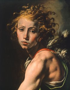ダビデ像（「ゴリアテの頭を持つダビデ」の細部）、タンツィオ・ダ・ヴァラッロ（1575-1635）作