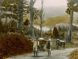 加護の少女、箱根地方、1900-1915年頃（写真）