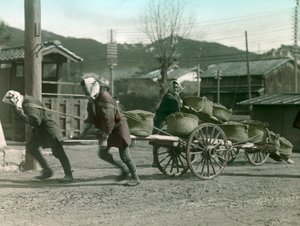 荷車に米袋を引く日本の農民たち（1900年頃-1915年）（写真