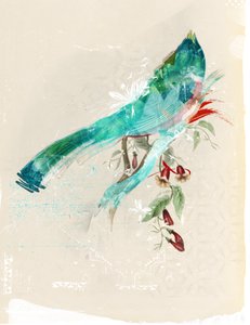 鳥のシルエット、2017年（キャンバスにコラージュ） 作： Teis Albers