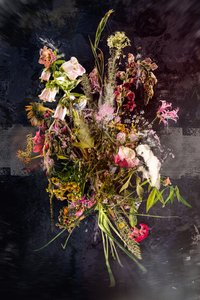 ブーケXXVIII、2019年（写真） 作： Teis Albers