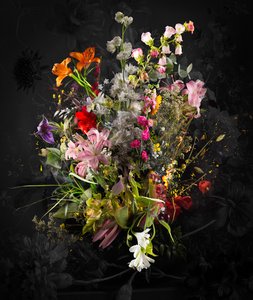 Bouquet XXXIX、2020年（キャンバスにミクストメディア）