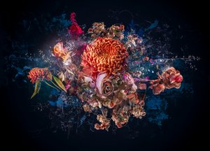 花束のコラージュ、2017年（写真）