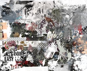 Easy Come Easy Go、2017年（キャンバスにコラージュ） 作： Teis Albers