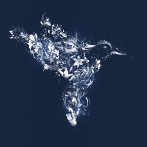 Floralbird、2019年（キャンバスにミクストメディア） 作： Teis Albers