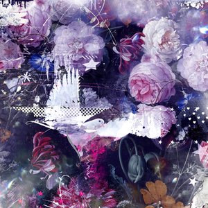 鳩を広げて、2016年（キャンバスにミクストメディア） 作： Teis Albers