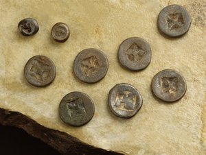 スリビヤヤ王国の花とナモのマークが付いたお金（金属） 作： Thai School