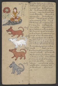 または、16455 f.11r、ゾディアックの動物、プロマチャット (羊皮紙) より 作： Thai School
