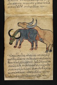 または。 16482、f.15「サトラ」  幸せで健康的な生活を送るための占いとアドバイスについて（紙折り本） 作： Thai School