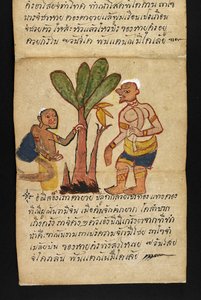 または。 16482、f.21「サトラ」  幸せで健康的な生活を送るための占いとアドバイスについて（紙折り本） 作： Thai School