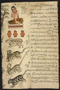 または 4830 「タイの占いマニュアル (Phrommachat)、干支に基づく星占いを含む」 (紙にインクとカラー) 作： Thai School