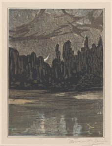 渡り鳥のいる夜景 作： Theo van Hoytema (signed by artist)
