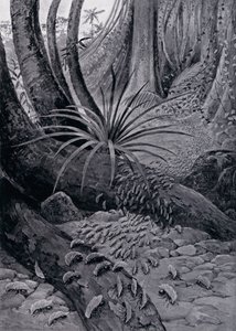 葉っぱを切るアリ（リトグラフ 作： Theobald Carreras